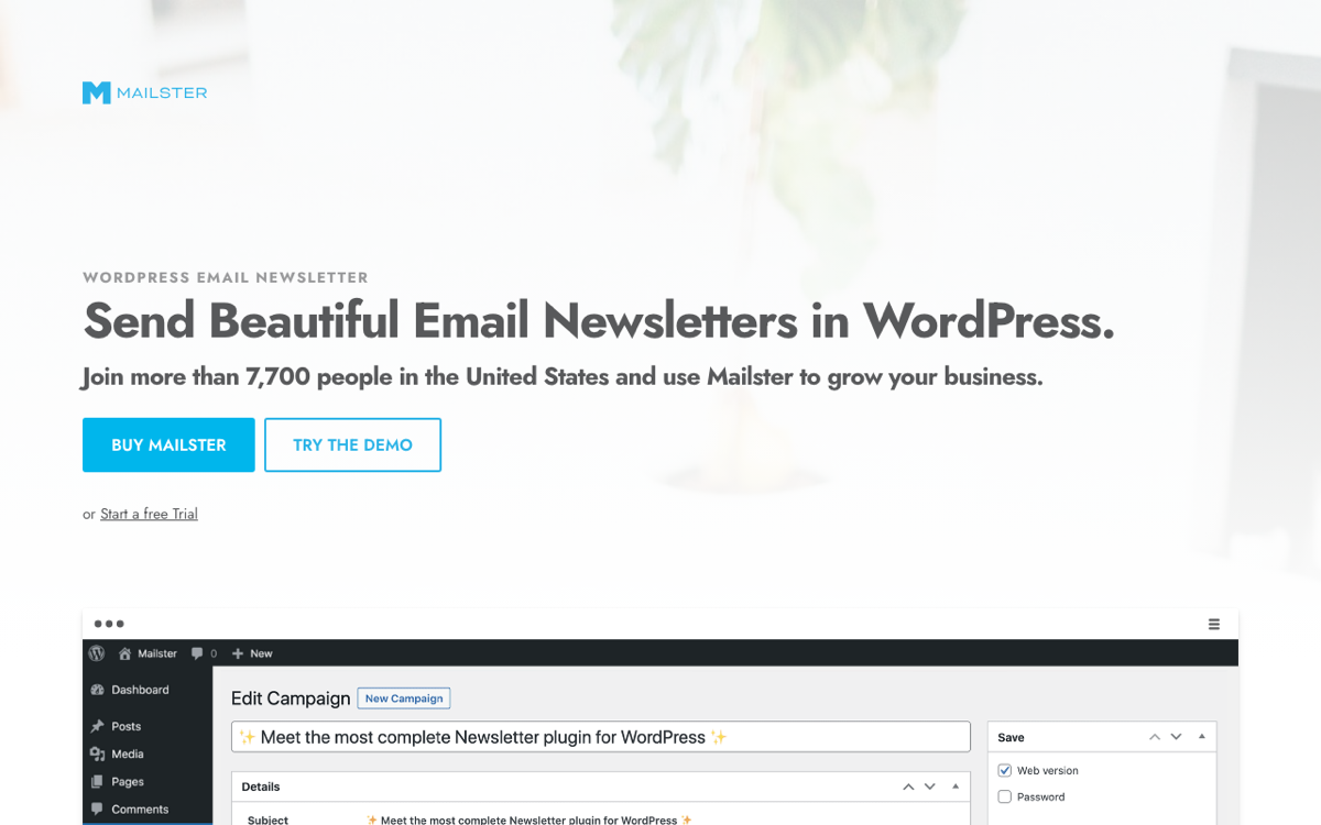Mailster screenshot